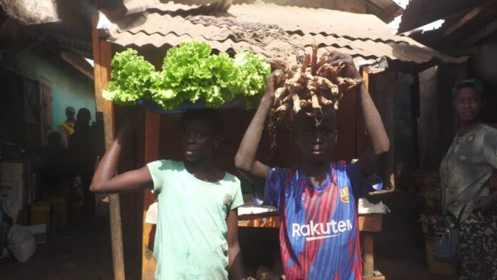 WhatsApp Image 2026-01-22 at 15.04.39 (3)