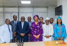 « Communication, numérique, innovation : ces secteurs ne sont plus périphériques », Mourana