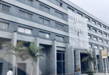 Analyse économique du franc guinéen