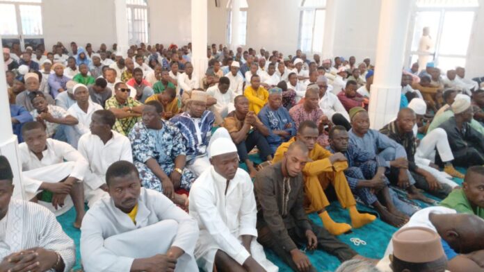 WhatsApp Image 2026-02-27 at 17.08.16