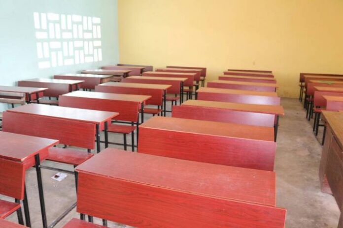 WhatsApp Image 2026-03-09 at 15.19.50