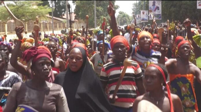 WhatsApp Image 2026-03-11 at 21.12.46