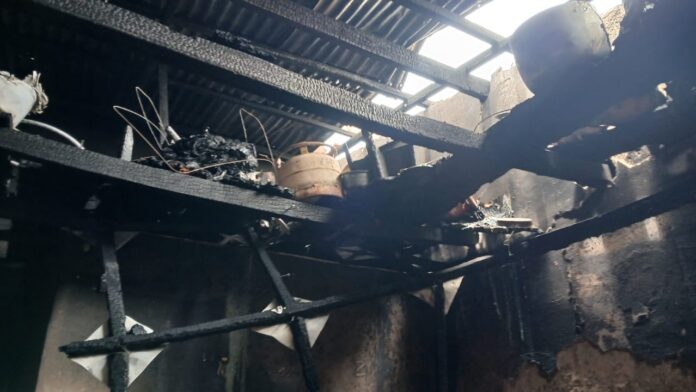 WhatsApp Image 2026-03-26 at 14.50.44 (1)