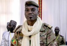 Décès du ministre malien de la Défense : une mort qui interpelle nos États (Tomou TRAORE)
