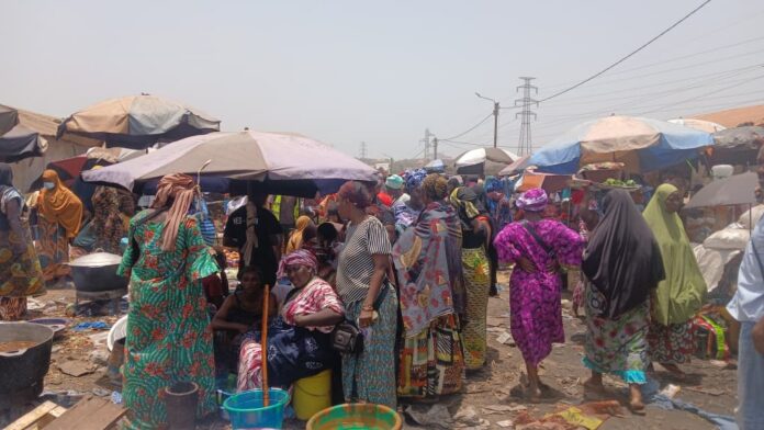 WhatsApp Image 2026-04-08 at 17.47.15