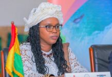 « Les ressorts de la résilience de l’économie guinéenne seront mis en lumière » : la Guinée affiche ses ambitions à Washington