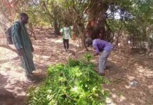 Mandiana : drame au fleuve Sankarani, un élève de 8e année emporté par les eaux