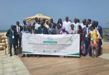 Pesticides dangereux en Afrique de l’Ouest : PAN Africa lance une offensive régionale pour protéger la santé et l’environnement