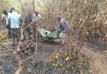 Kindia : Une guérisseuse traditionnelle retrouvée morte après un incendie de brousse à Yeintè