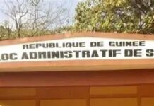 Tolérance zéro à Siguiri: 139 agents de l’Environnement suspendus (Décision)