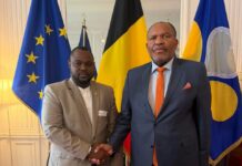 Bruxelles : rencontre entre la Fédération guinéenne de minifootball et une institution parlementaire régionale