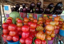Kindia : pourquoi les fruits coûtent-ils si cher dans la ville qui les produit ? Enquête