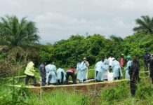Forécariah : après la découverte de six corps, TLP-Guinée réclame une enquête « indépendante, transparente et crédible »