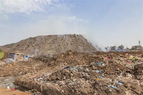 Des déchets aux champs : la Guinée veut transformer ses ordures en engrais pour son agriculture