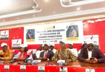 Culture : le FESMAF officiellement lancé à la Maison de la Presse de Guinée