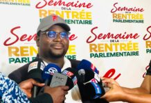 Parlement : Aly Fadiga veut rapprocher la diaspora guinéenne des institutions nationales