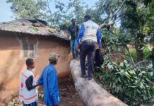 Kissidougou : un arbre s’écrase sur une maison et fait cinq blessés à Ernesto