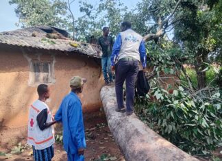 Kissidougou : un arbre s’écrase sur une maison et fait cinq blessés à Ernesto