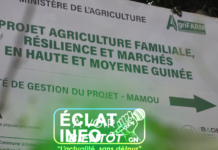 AgriFARM : Une mission d’achèvement pour mésurer les résultats et préparé l’après – projet