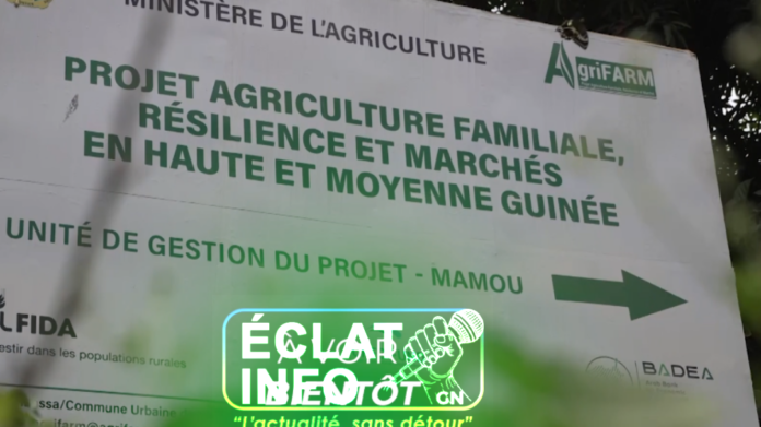 InShot_1791829296591