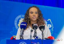 Guinée : Mariama Ciré Sylla présente les grandes orientations du budget rectificatif 2026 devant l’Assemblée nationale