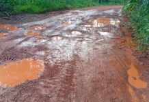 Route Dubréka/Télimélé : après Souapiti, 105 kilomètres de souffrance pour les usagers