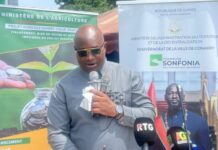 Sonfonia Lac : lancement des travaux d’aménagement de 10 hectares de périmètre maraîcher